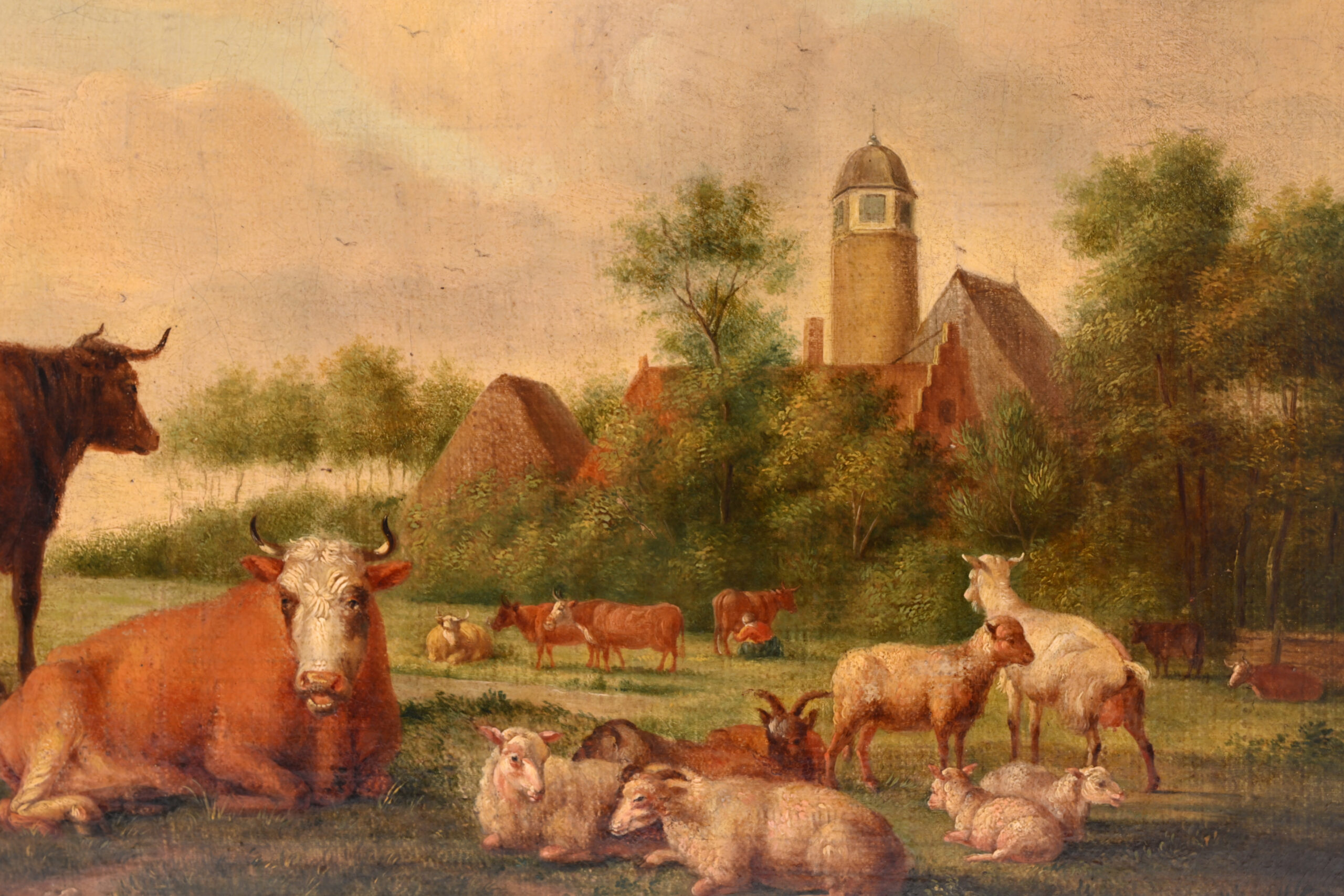 veel op weide 7